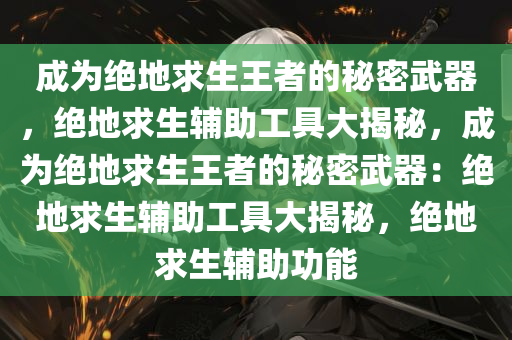 成为绝地求生王者的秘密武器,绝地求生辅助工具大揭秘,成为绝地求生王者的秘密武器:绝地求生辅助工具大揭秘,绝地求生辅助功能