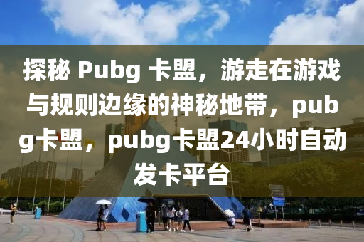 探秘 Pubg 卡盟，游走在游戏与规则边缘的神秘地带，pubg卡盟，pubg卡盟24小时自动发卡平台