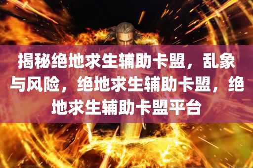揭秘绝地求生辅助卡盟，乱象与风险，绝地求生辅助卡盟，绝地求生辅助卡盟平台
