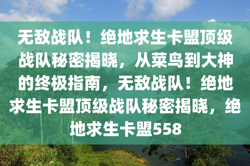 无敌战队！绝地求生卡盟顶级战队秘密揭晓，从菜鸟到大神的终极指南，无敌战队！绝地求生卡盟顶级战队秘密揭晓，绝地求生卡盟558