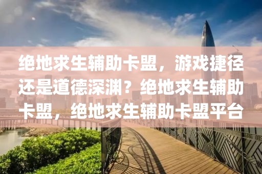 绝地求生辅助卡盟，游戏捷径还是道德深渊？绝地求生辅助卡盟，绝地求生辅助卡盟平台
