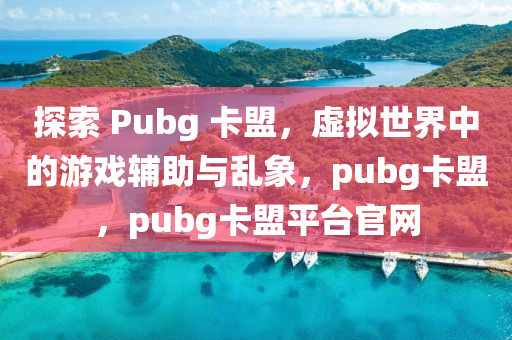 探索 Pubg 卡盟，虚拟世界中的游戏辅助与乱象，pubg卡盟，pubg卡盟平台官网
