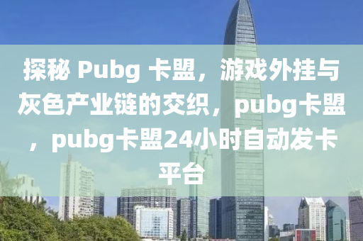 探秘 Pubg 卡盟，游戏外挂与灰色产业链的交织，pubg卡盟，pubg卡盟24小时自动发卡平台