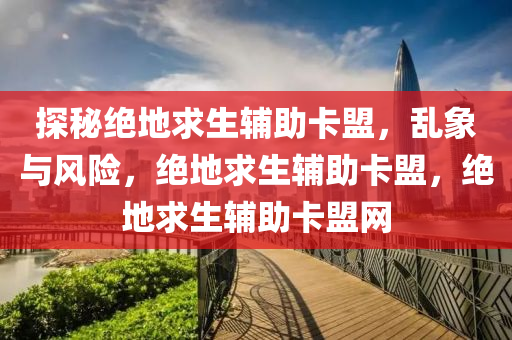 探秘绝地求生辅助卡盟，乱象与风险，绝地求生辅助卡盟，绝地求生辅助卡盟网