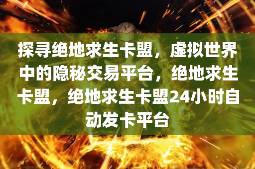 探寻绝地求生卡盟，虚拟世界中的隐秘交易平台，绝地求生卡盟，绝地求生卡盟24小时自动发卡平台