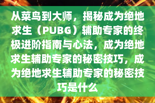从菜鸟到大师，揭秘成为绝地求生（PUBG）辅助专家的终极进阶指南与心法，成为绝地求生辅助专家的秘密技巧，成为绝地求生辅助专家的秘密技巧是什么