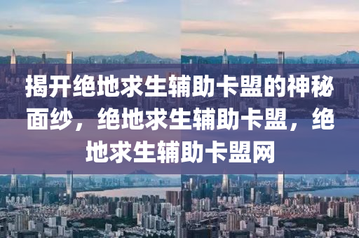 揭开绝地求生辅助卡盟的神秘面纱，绝地求生辅助卡盟，绝地求生辅助卡盟网