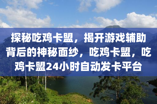探秘吃鸡卡盟，揭开游戏辅助背后的神秘面纱，吃鸡卡盟，吃鸡卡盟24小时自动发卡平台