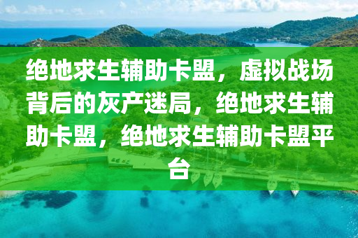 绝地求生辅助卡盟，虚拟战场背后的灰产迷局，绝地求生辅助卡盟，绝地求生辅助卡盟平台