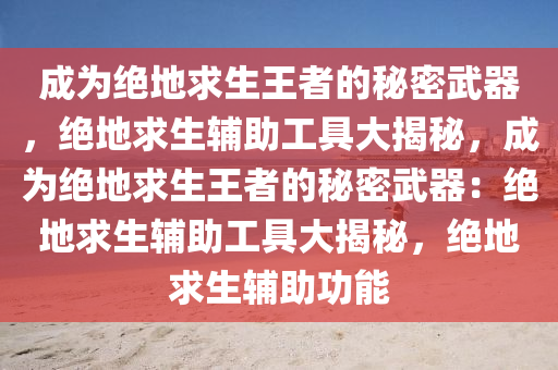 成为绝地求生王者的秘密武器，绝地求生辅助工具大揭秘，成为绝地求生王者的秘密武器：绝地求生辅助工具大揭秘，绝地求生辅助功能