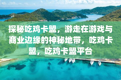 探秘吃鸡卡盟，游走在游戏与商业边缘的神秘地带，吃鸡卡盟，吃鸡卡盟平台