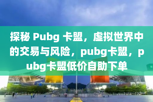 探秘 Pubg 卡盟，虚拟世界中的交易与风险，pubg卡盟，pubg卡盟低价自助下单