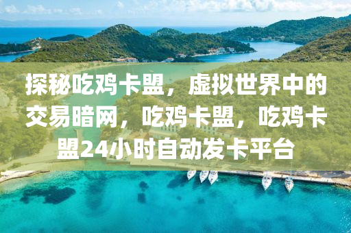 探秘吃鸡卡盟，虚拟世界中的交易暗网，吃鸡卡盟，吃鸡卡盟24小时自动发卡平台