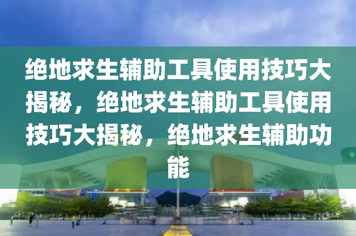 绝地求生辅助工具使用技巧大揭秘，绝地求生辅助工具使用技巧大揭秘，绝地求生辅助功能