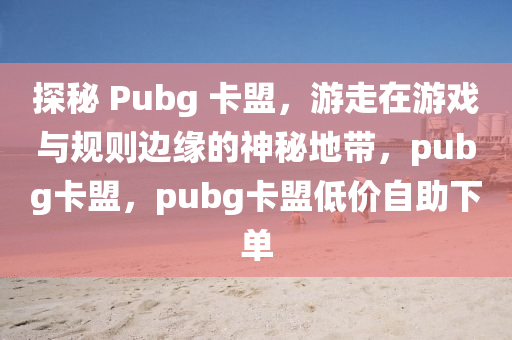 探秘 Pubg 卡盟，游走在游戏与规则边缘的神秘地带，pubg卡盟，pubg卡盟低价自助下单