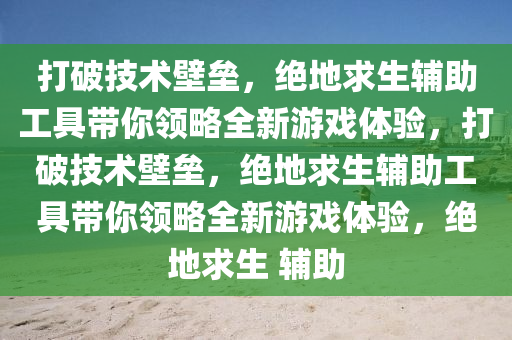 打破技术壁垒，绝地求生辅助工具带你领略全新游戏体验，打破技术壁垒，绝地求生辅助工具带你领略全新游戏体验，绝地求生 辅助