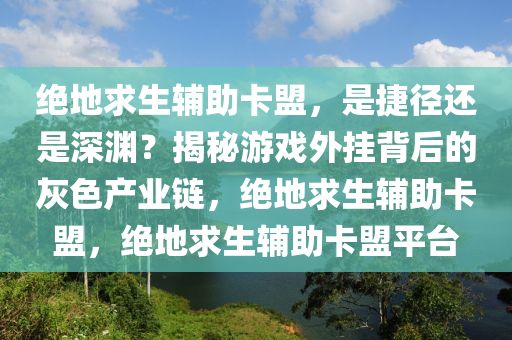 绝地求生辅助卡盟，是捷径还是深渊？揭秘游戏外挂背后的灰色产业链，绝地求生辅助卡盟，绝地求生辅助卡盟平台