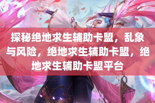 探秘绝地求生辅助卡盟，乱象与风险，绝地求生辅助卡盟，绝地求生辅助卡盟平台