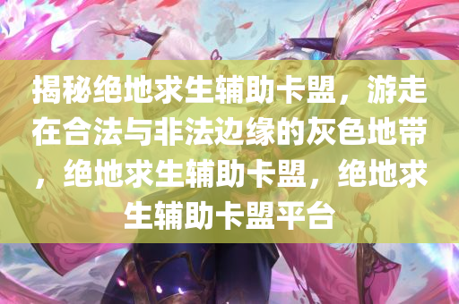 揭秘绝地求生辅助卡盟，游走在合法与非法边缘的灰色地带，绝地求生辅助卡盟，绝地求生辅助卡盟平台