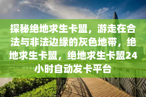 探秘绝地求生卡盟，游走在合法与非法边缘的灰色地带，绝地求生卡盟，绝地求生卡盟24小时自动发卡平台