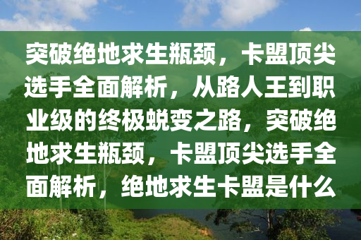 突破绝地求生瓶颈，卡盟顶尖选手全面解析，从路人王到职业级的终极蜕变之路，突破绝地求生瓶颈，卡盟顶尖选手全面解析，绝地求生卡盟是什么