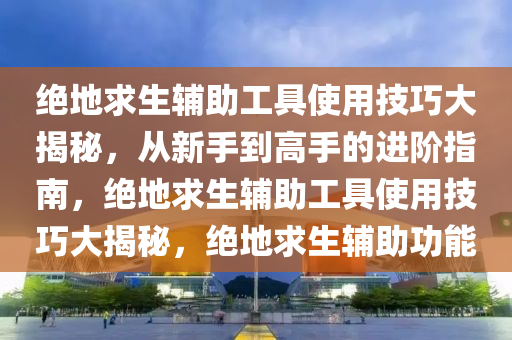 绝地求生辅助工具使用技巧大揭秘,从新手到高手的进阶指南,绝地求生辅助工具使用技巧大揭秘,绝地求生辅助功能