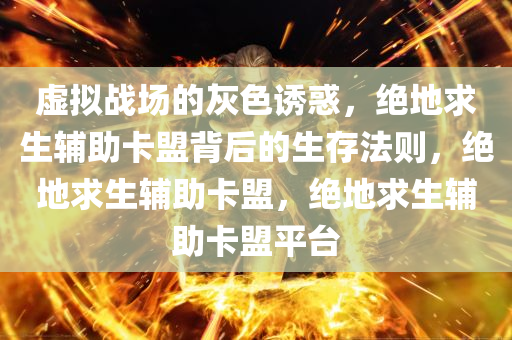 虚拟战场的灰色诱惑，绝地求生辅助卡盟背后的生存法则，绝地求生辅助卡盟，绝地求生辅助卡盟平台