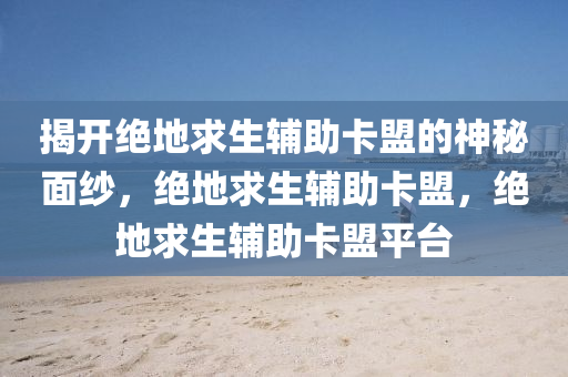 揭开绝地求生辅助卡盟的神秘面纱，绝地求生辅助卡盟，绝地求生辅助卡盟平台