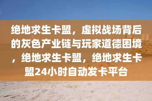 绝地求生卡盟，虚拟战场背后的灰色产业链与玩家道德困境，绝地求生卡盟，绝地求生卡盟24小时自动发卡平台