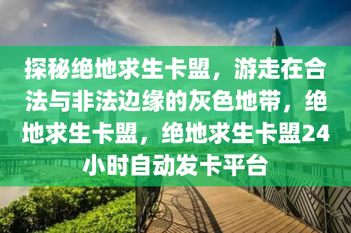 探秘绝地求生卡盟，游走在合法与非法边缘的灰色地带，绝地求生卡盟，绝地求生卡盟24小时自动发卡平台