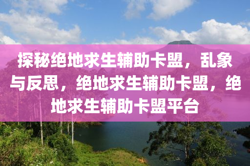 探秘绝地求生辅助卡盟，乱象与反思，绝地求生辅助卡盟，绝地求生辅助卡盟平台