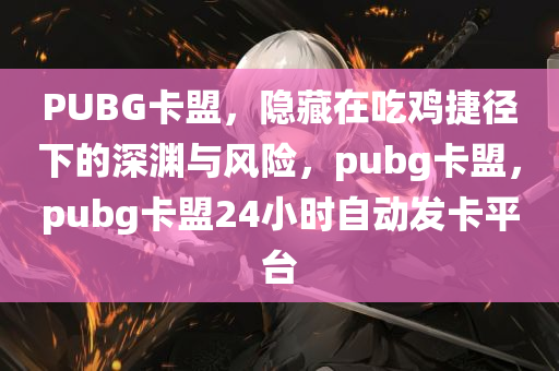 PUBG卡盟，隐藏在吃鸡捷径下的深渊与风险，pubg卡盟，pubg卡盟24小时自动发卡平台