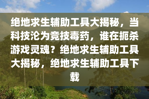 绝地求生辅助工具大揭秘，当科技沦为竞技毒药，谁在扼杀游戏灵魂？绝地求生辅助工具大揭秘，绝地求生辅助工具下载