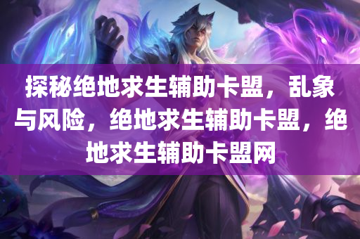 探秘绝地求生辅助卡盟，乱象与风险，绝地求生辅助卡盟，绝地求生辅助卡盟网