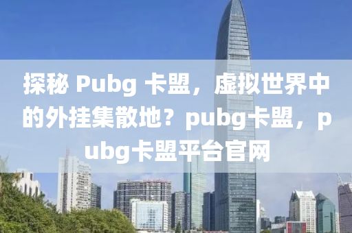 探秘 Pubg 卡盟，虚拟世界中的外挂集散地？pubg卡盟，pubg卡盟平台官网