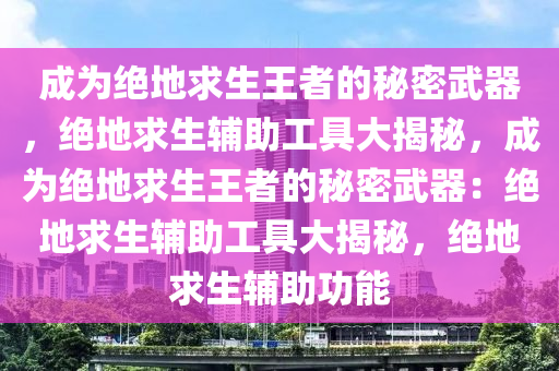 成为绝地求生王者的秘密武器，绝地求生辅助工具大揭秘，成为绝地求生王者的秘密武器：绝地求生辅助工具大揭秘，绝地求生辅助功能
