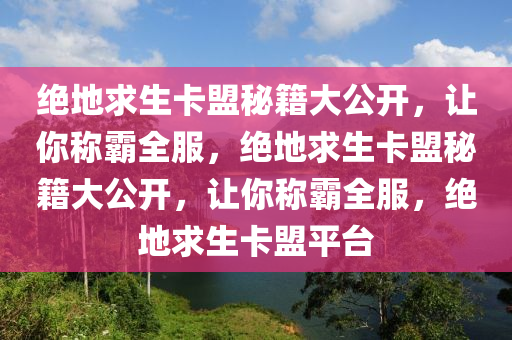 绝地求生卡盟秘籍大公开，让你称霸全服，绝地求生卡盟秘籍大公开，让你称霸全服，绝地求生卡盟平台