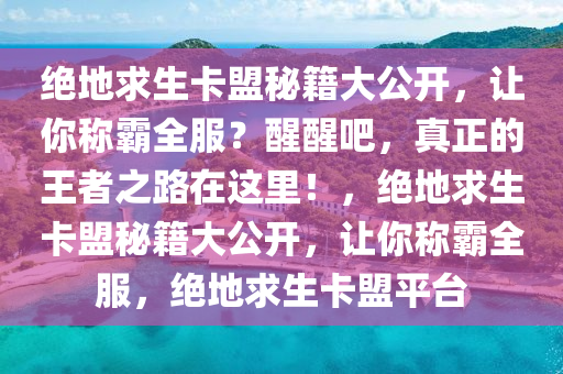 绝地求生卡盟秘籍大公开，让你称霸全服？醒醒吧，真正的王者之路在这里！，绝地求生卡盟秘籍大公开，让你称霸全服，绝地求生卡盟平台
