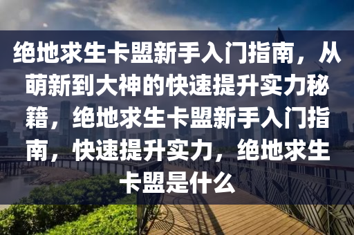 绝地求生卡盟新手入门指南，从萌新到大神的快速提升实力秘籍，绝地求生卡盟新手入门指南，快速提升实力，绝地求生卡盟是什么