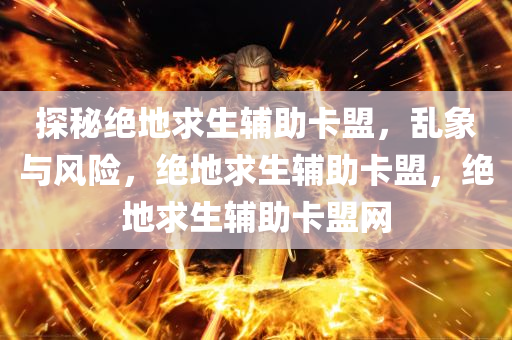 探秘绝地求生辅助卡盟，乱象与风险，绝地求生辅助卡盟，绝地求生辅助卡盟网