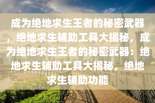 成为绝地求生王者的秘密武器，绝地求生辅助工具大揭秘，成为绝地求生王者的秘密武器：绝地求生辅助工具大揭秘，绝地求生辅助功能