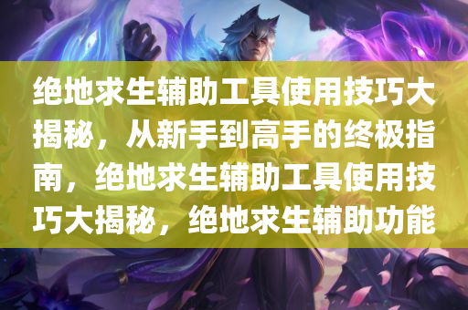 绝地求生辅助工具使用技巧大揭秘，从新手到高手的终极指南，绝地求生辅助工具使用技巧大揭秘，绝地求生辅助功能