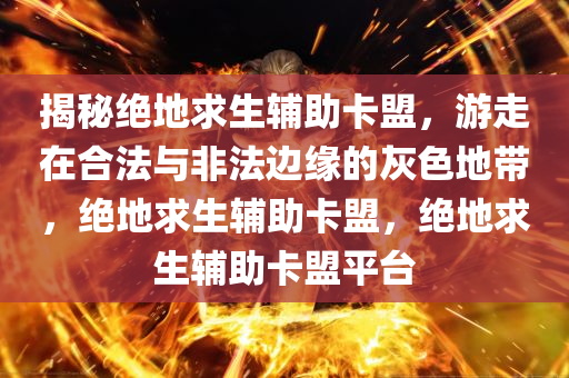 揭秘绝地求生辅助卡盟，游走在合法与非法边缘的灰色地带，绝地求生辅助卡盟，绝地求生辅助卡盟平台