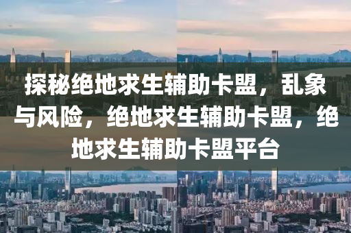 探秘绝地求生辅助卡盟，乱象与风险，绝地求生辅助卡盟，绝地求生辅助卡盟平台