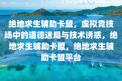 绝地求生辅助卡盟，虚拟竞技场中的道德迷局与技术诱惑，绝地求生辅助卡盟，绝地求生辅助卡盟平台