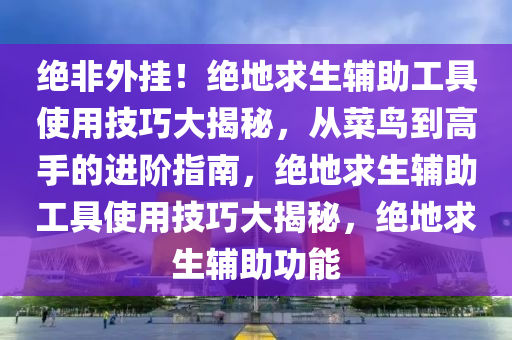 绝非外挂！绝地求生辅助工具使用技巧大揭秘，从菜鸟到高手的进阶指南，绝地求生辅助工具使用技巧大揭秘，绝地求生辅助功能