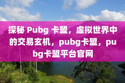 探秘 Pubg 卡盟，虚拟世界中的交易玄机，pubg卡盟，pubg卡盟平台官网
