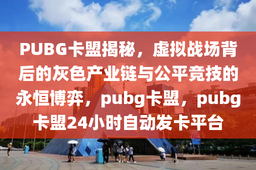 PUBG卡盟揭秘，虚拟战场背后的灰色产业链与公平竞技的永恒博弈，pubg卡盟，pubg卡盟24小时自动发卡平台