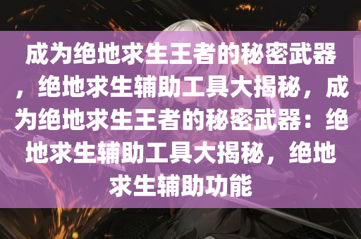 成为绝地求生王者的秘密武器，绝地求生辅助工具大揭秘，成为绝地求生王者的秘密武器：绝地求生辅助工具大揭秘，绝地求生辅助功能