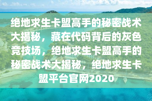 绝地求生卡盟高手的秘密战术大揭秘，藏在代码背后的灰色竞技场，绝地求生卡盟高手的秘密战术大揭秘，绝地求生卡盟平台官网2020